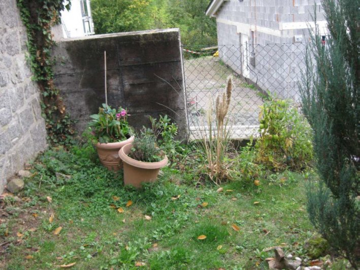 BeetamZaun-September2012